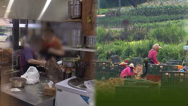 [전주MBC 자료사진]