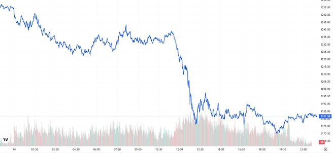TV 국제 금시세(금값) 2.03% 하락 (3181달러)