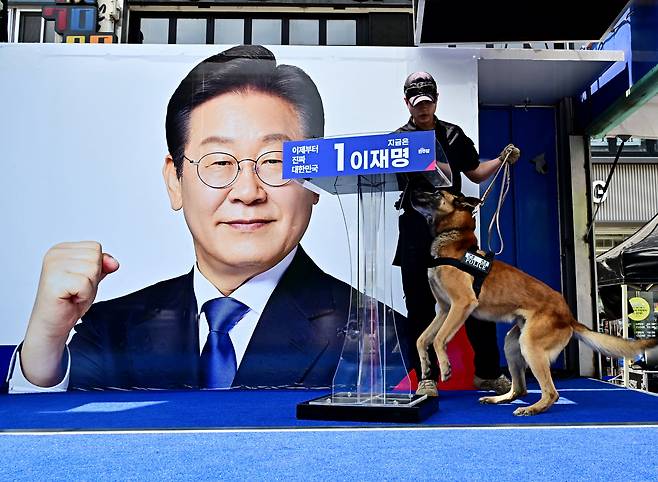 지난 14일 오후 경남 창원시 성산구 상남분수광장에서 이재명 더불어민주당 대선후보 집중유세를 앞두고 경찰견이 수색을 하고 있다. /남강호 기자