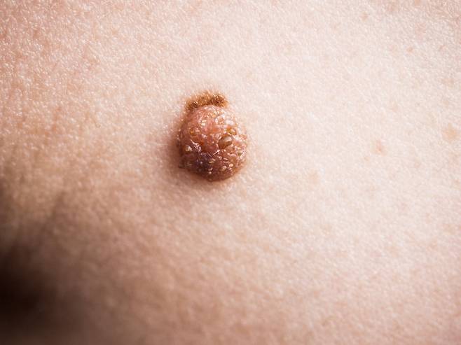 게티이미지뱅크.