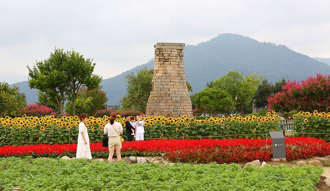 경주 동부사적지 첨성대 인근에 조성된 꽃단지를 배경으로 관광객들이 사진을 찍으며 봄날을 만끽하고 있다. 계절마다 다양한 꽃으로 조성되는 이 꽃단지는 2025 APEC 정상회의를 앞두고 경주시가 추진하는 경관개선사업의 일환이다.
