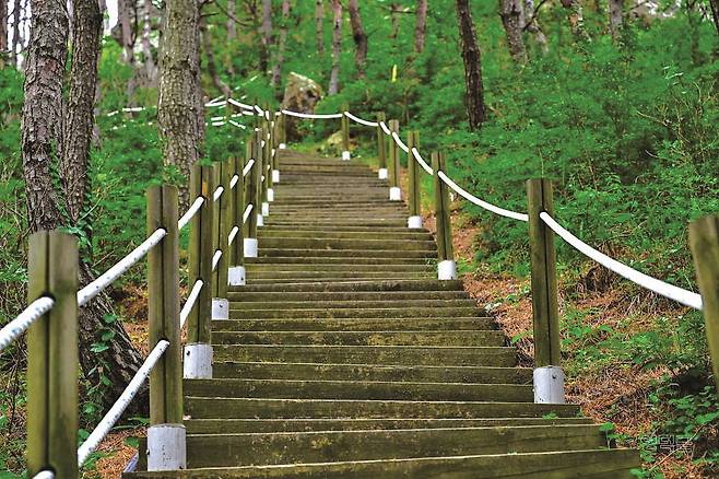 관어대 등산로=사진 영덕군