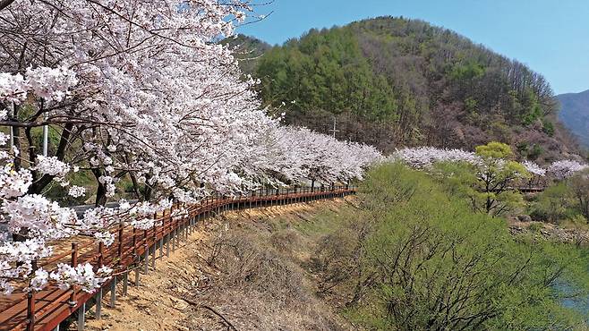 물야저수지=사진 봉화군