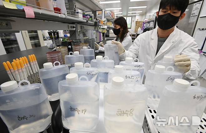 [수원=뉴시스] 김종택 기자 = 경기 수원시 경기도보건환경연구원 수인성질환팀 연구원들이 채수한 바닷물을 검사하고 있다.  2025.04.24. jtk@newsis.com
