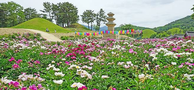 서악동 삼층석탑 작약. 경주시 제공