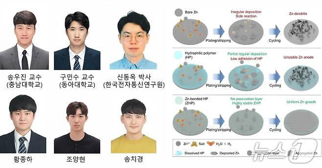 공동 연구팀 및 연구성과 (충남대 제공.재판매 및 DB금지)/뉴스1