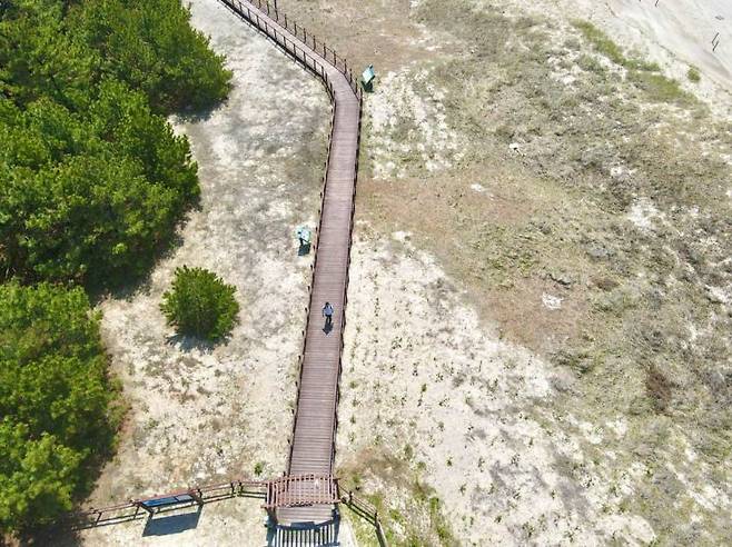 태안 해변길 5코스를 걷고 있는 관광객