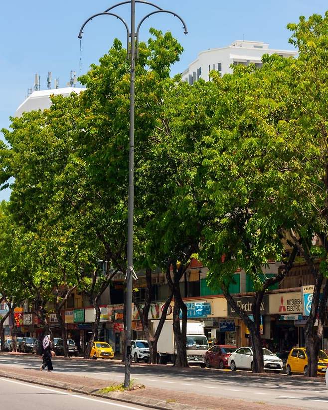 0cef8074b2871cf1239a8e90409c706c056f0852c9f6e5c413a64468ccd40336c31d49255090b540b72b77b17c191d4008dc7659f8