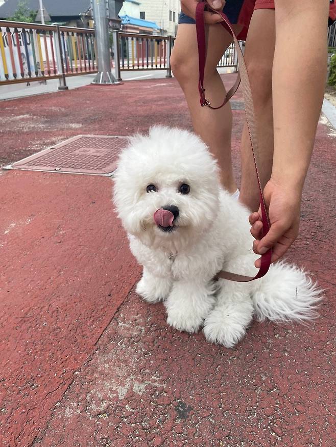 세상에서 가장 이쁜 강아지