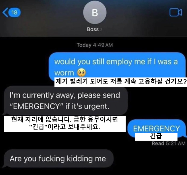 image.png 새벽 4시에 상사에게 문자보내기 ㄷㄷㄷㄷ