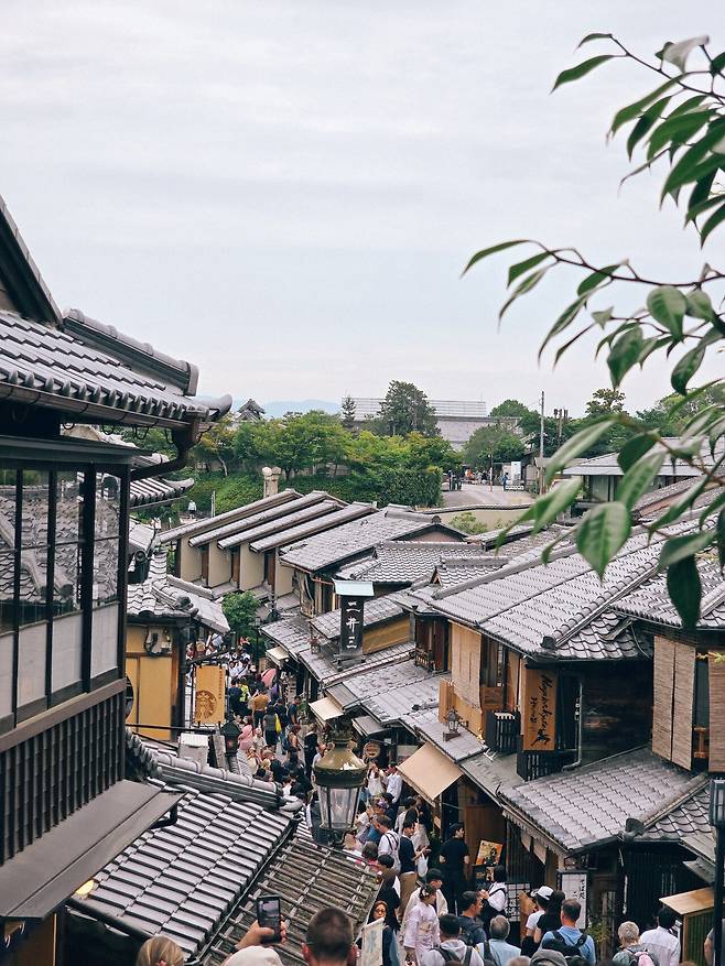 20250516_143512.jpg [여행] 급으로 온 교토여행