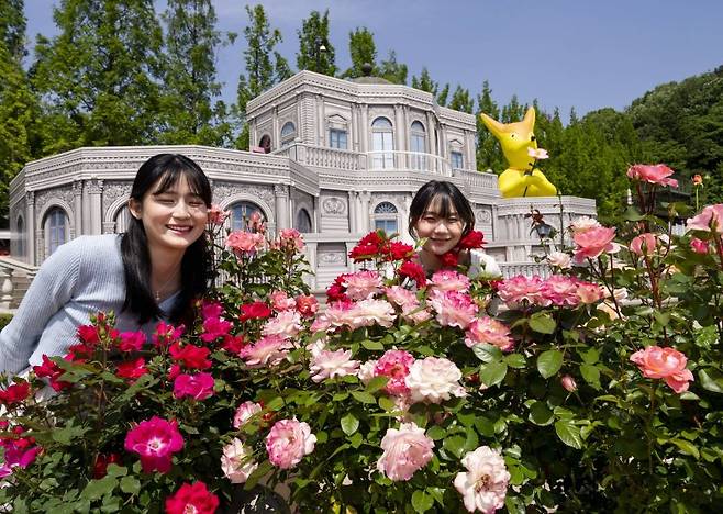 에버랜드 로로티 장미축제 '장미성' 전경