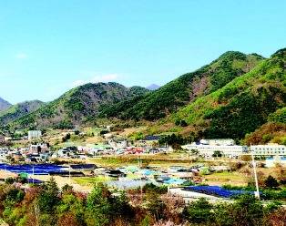 비득고개의 천도정에서는 천도리의 전경이 한 눈에 들어온다