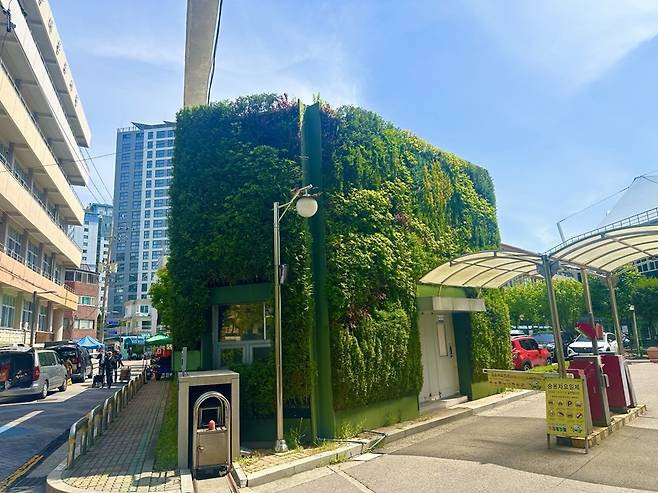 다산콜센터에 조성된 벽면녹화 모습/사진제공=수프로