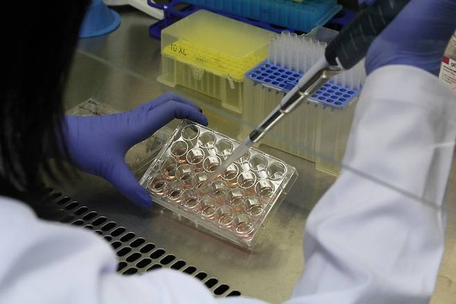 기초과학연구원 한국바이러스기초연구소 연구진이 바이러스 연구를 수행하고 있다.[IBS 제공]