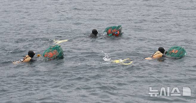 [제주=뉴시스] 우장호 기자 = 16일 오후 제주시 탑동방파제 해상에서 제주해양경찰서와 제주소방서, 해녀구조대가 포함된 해양재난구조대가 참가해 민관 합동 해상 수색 구조훈련을 하고 있다. 사진은 해녀구조대가 익수자 발생을 가정한 인명 구조 훈련을 하는 모습. 2025.05.16. woo1223@newsis.com