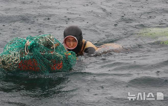 [제주=뉴시스] 우장호 기자 = 16일 오후 제주시 탑동방파제 해상에서 열린 제주해양경찰서와 제주소방서, 해녀구조대가 포함된 해양재난구조대가 참가한 민관 합동 해상 수색 구조훈련에서 해녀구조대가 익수자 발생을 가정한 인명 구조 훈련을 하고 았다. 2025.05.16. woo1223@newsis.com
