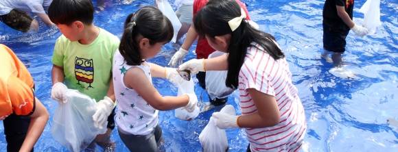 어린이들이 맨손으로 자리잡기 체험을 하고 있다. 보목자리돔축제위원회 제공