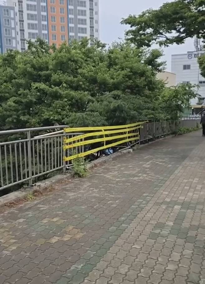 차 사고로 파손된 난간 [독자 김동운 씨 제공. 재판매 및 DB 금지]