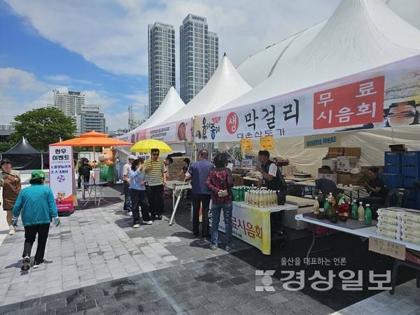 지난 16일부터 울산 남구 태화강 둔치에서 진행되고 있는 '제2회 울산축협 한우축제'에 시민들이 각종 부대행사를 즐기고 있다.