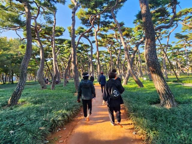 부산 기장군민 20여 명으로 구성된 맨발걷기 모임 '온리유'의 다양한 활동 모습. 온리유 제공