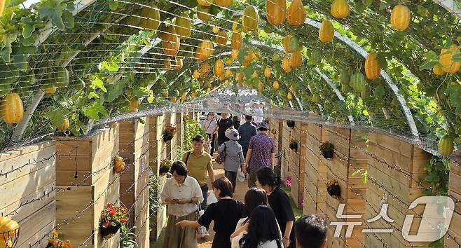 주말인 17일 경북 성주 성밖숲 일원에서 열리고 있는 '성주 참외·생명 문화축제'에 참여한 시민들이 참외터널을 구경하고 있다. 축제는 오는 18일까지 열린다. 2025.5.17/뉴스1 ⓒ News1 정우용 기자