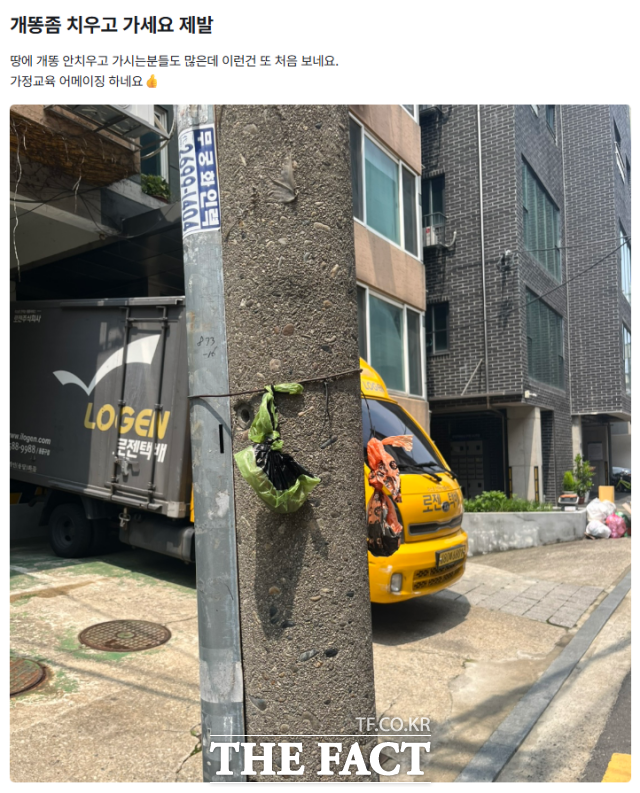 최근 한 온라인 커뮤니티에는 서울 강서구의 한 주택가 골목 전봇대에 반려동물 배설물이 담긴 것으로 추정되는 봉투가 걸려있는 사진이 올라왔다. /강주영 기자
