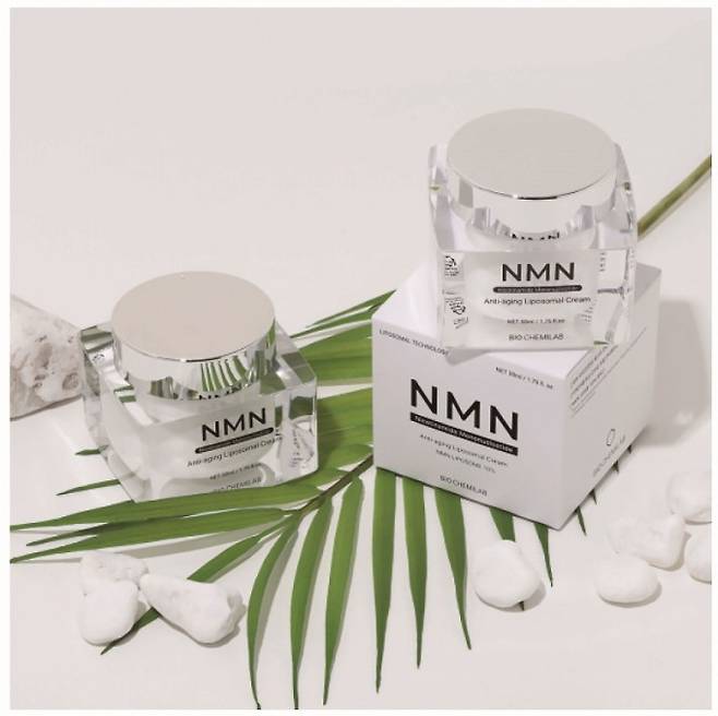 김범수 충북대 화학공학과 교수가 개발한 NMN 안티에이징 리포솜 크림. 노화 조절에 효과가 좋은 NMN의 흡수력을 높인 제품이다. 김범수 제공