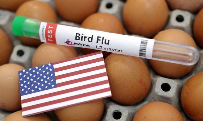 달걀판 위에 ‘조류인플루엔자’라고 적힌 실험실 튜브가 놓여있다. 로이터 연합뉴스
