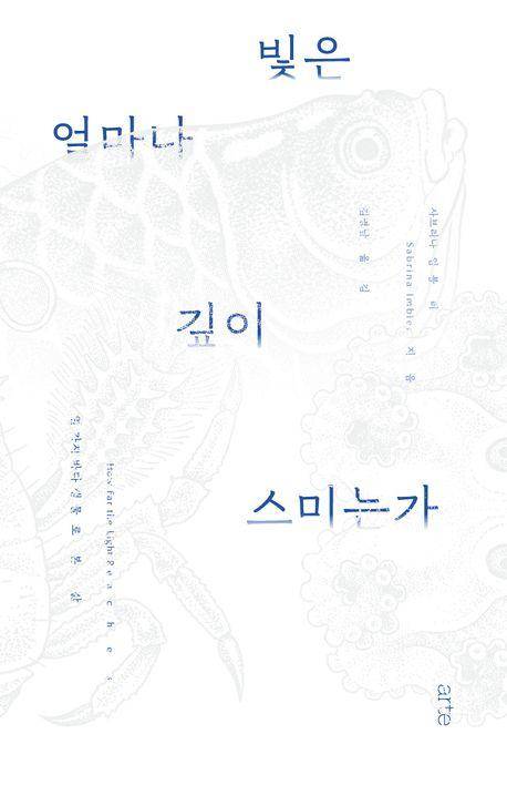 사브리나 임블러 '빛은 얼마나 깊이 스미는가'