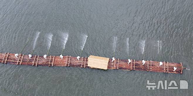 [서울=뉴시스] 김근수 기자 = '정선아리랑 in Seoul'이 열린 17일 서울 여의도 물빛광장에서 정선 여령면 뗏목 시연이 펼쳐지고 있다. 2025.05.17. ks@newsis.com