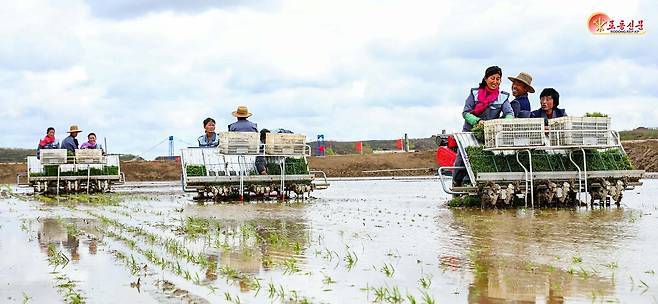 북한 노동당 기관지 노동신문은 11일 "평원군 원화농장에서 모내기가 시작됐다"면서 "올해를 다수확의&nbsp;자랑찬 성과로 빛내기 위해 떨쳐나선 이곳 농장원들의 기세는 대단했다"라고 보도했다.
