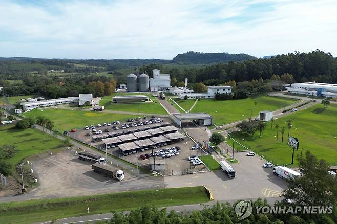 16일(현지시간) 드론을 이용해 촬영된 브라질 히우그란지두술주(州) 양계 시설 [몬치네그루 로이터=연합뉴스. 재판매 및 DB 금지]