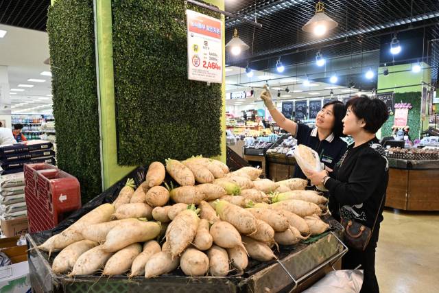 18일 창원시 성산구 남창원농협 농수산물종합유통센터에서 한 고객이 무를 고르고 있다./전강용 기자/