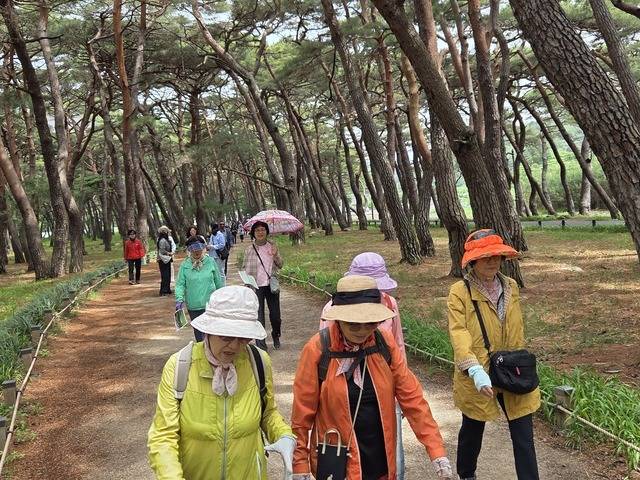 청도 운문사 답사를 위해 기행하고 있는 신화속의역사기행단.