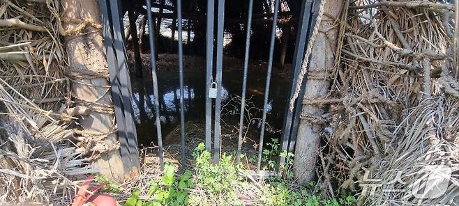 대능리 신석기 유적지 공원 내 움집 내부에 물이 고여 있다. (파주시민네트워크 제공, 재판매 및 DB금지)