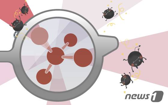 ⓒ News1 DB