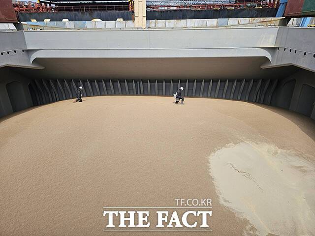 검역관들이 소맥분 8000톤이 실린 선창에서 채를 이용해 소맥을 육안으로 선별하는 방식으로 정밀 검사를 하고 있다./인천=박은평 기자