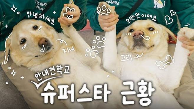 스쿨오브안내견 시즌2 스틸컷. ⓒ삼성화재