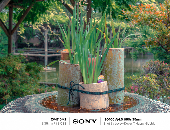 7ded8168f5dc3f8650bbd58b36847164643b0539