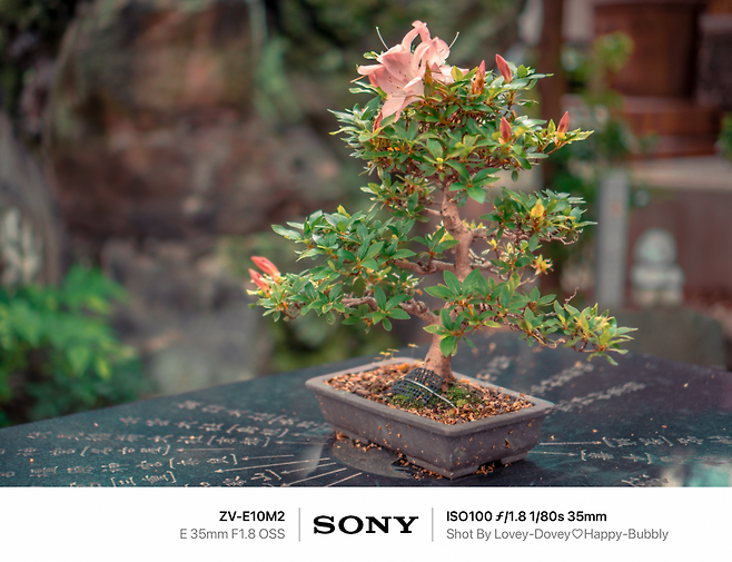 7dec8468f5dc3f8650bbd58b3684756e8e802de7