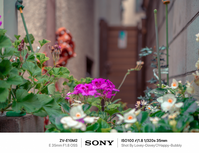 7dec8968f5dc3f8650bbd58b3685736b42a770d4