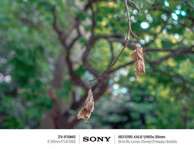 7def8468f5dc3f8650bbd58b36847c69fc099d56