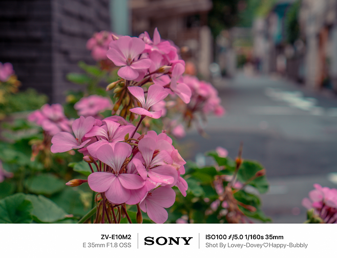 7def8568f5dc3f8650bbd58b36857269e943e268