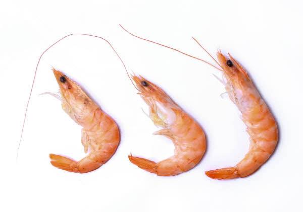 사진=클립아트코리아