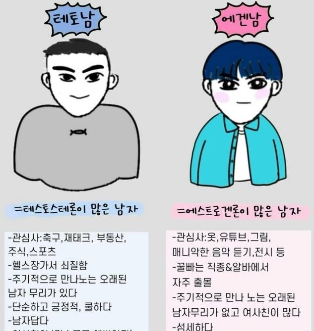 ‘테토남’(왼쪽)과 ‘에겐남’(오른쪽)을 설명하는 일러스트. 인스타그램 캡처