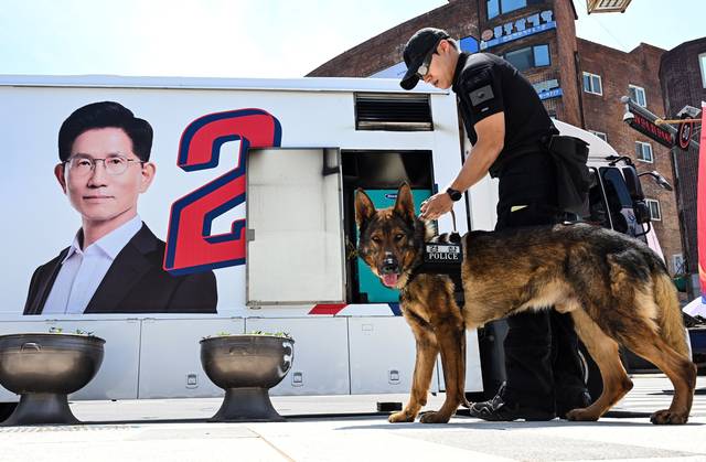 14일 경남 밀양시 밀양관아 앞에서 열린 김문수 국민의힘 대선 후보의 유세에 앞서 경찰특공대 대원이 폭발물 탐지견으로 수색을 하고 있다. 문호남 기자