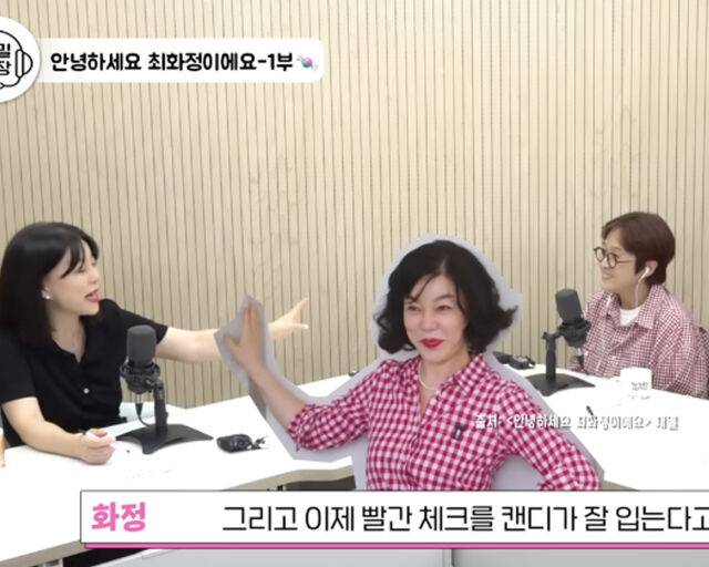 최화정이 유튜브 '비보티비'에 출연해 입담을 과시했다. / 유튜브 '비보티비' 캡처