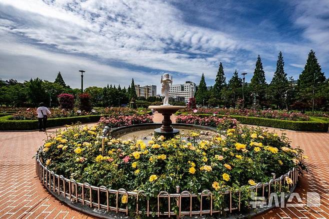 [창원=뉴시스] 차용현 기자 = 화창한 봄 날씨를 보인 18일 오전 경남 창원시 성산구 장미공원에서 시민들이 봄 정취를 만끽하고 있다.2025.05.18.con@newsis.com