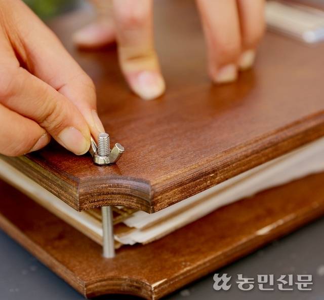 나비 볼트를 조여 표본을 고정한다.